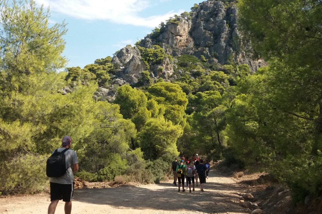 Things to Do in Loutraki Greece with hikers going down a dirt road inside a pine forest