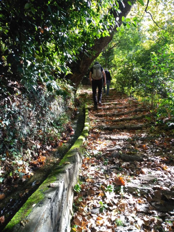 Hike Safely in Greece, kalderimi, hiking Pelion Milies