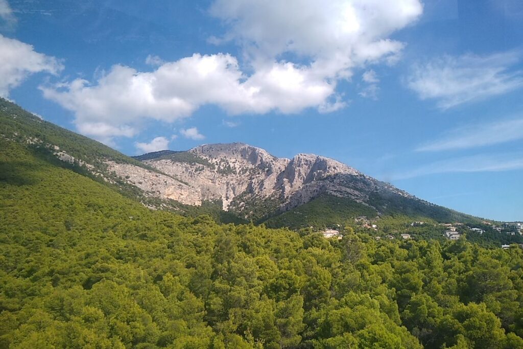 Best Hikes near Athens, Parnitha mountain in Athens with forest and peak