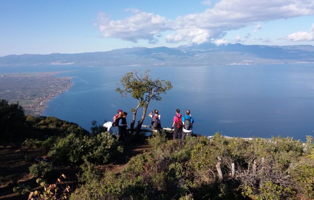 hiking group under a tree looking at the sea in Greece