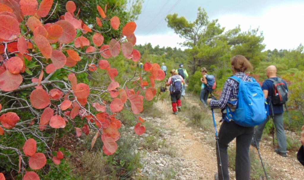 Greek hikers on a trail in fall leaves