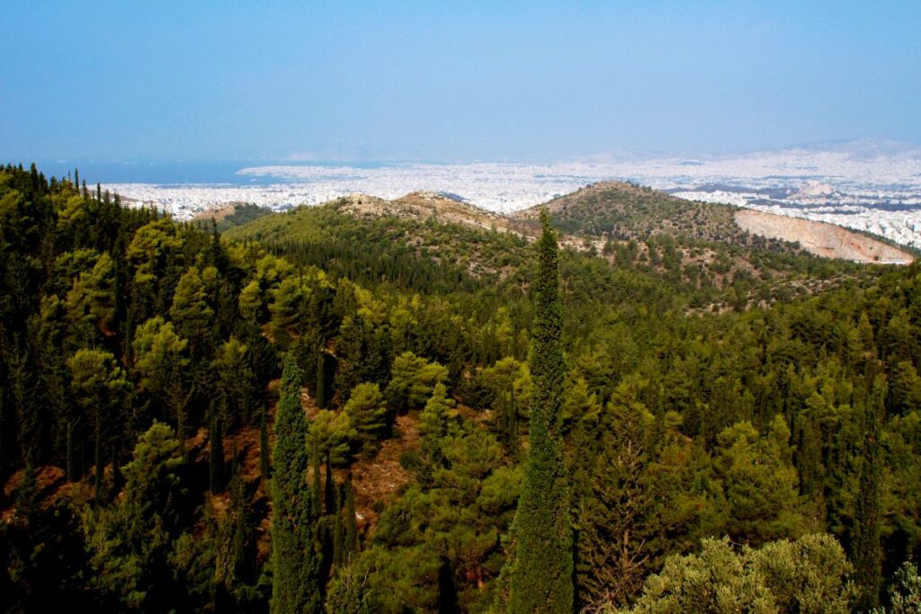 Best Hikes near Athens, Forested views of hymettues mountain in Athens
