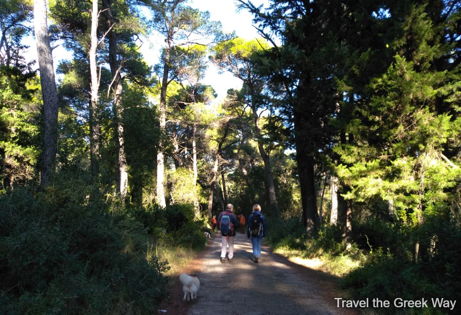 2 hikers and a small white dog walk in Parnitha mountain in Tatoi Athens