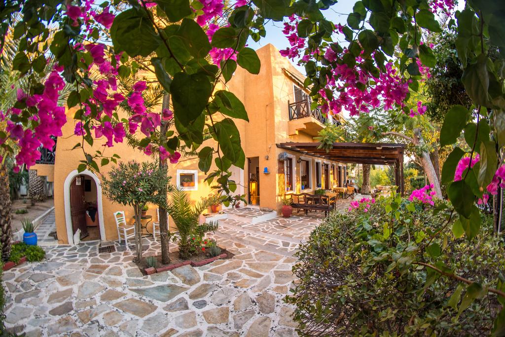 things to do on Aegina Island, VagiaAegina hotel with cat