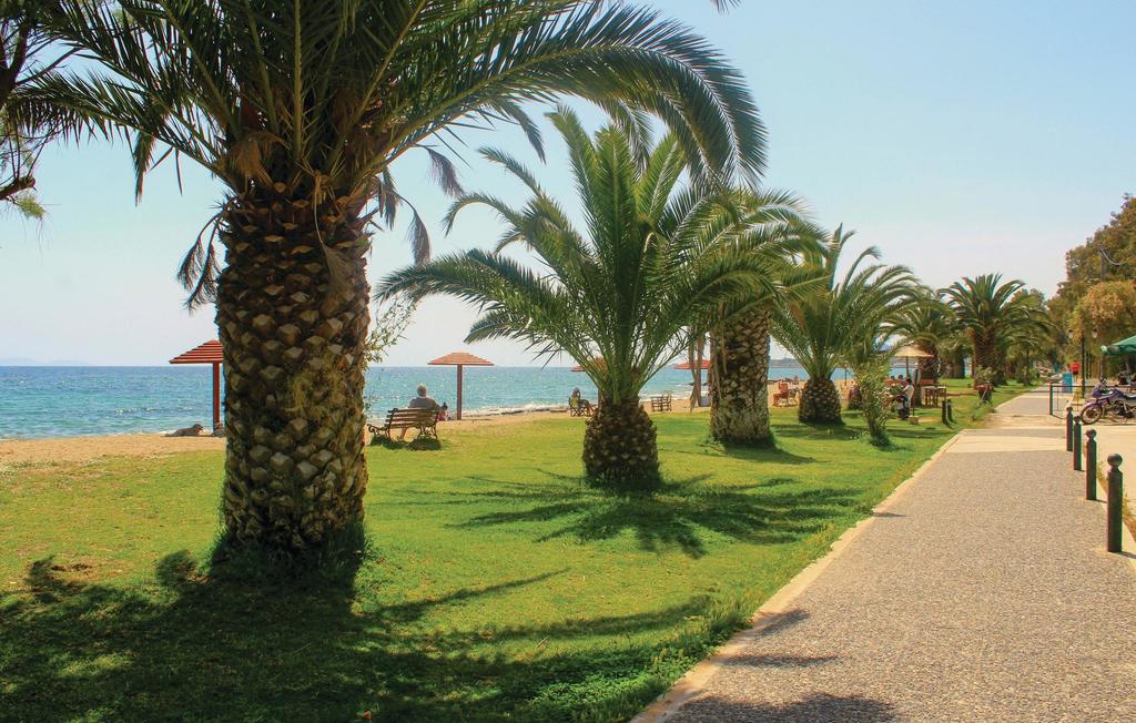 Marathon -  Nea Makri beach with palm trees and  pedestrian