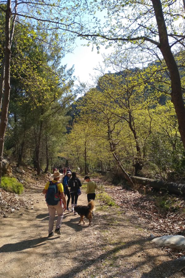 A small group of hikers  and dog in Marathonas Gorge 