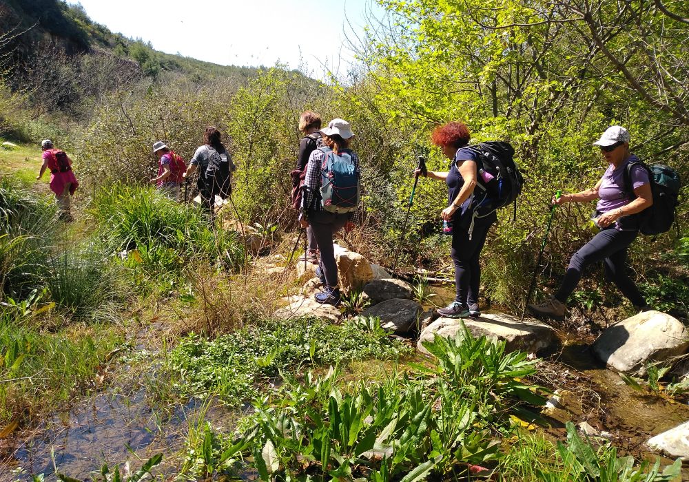 A Small Group of Hikers Crossing a  Stream.