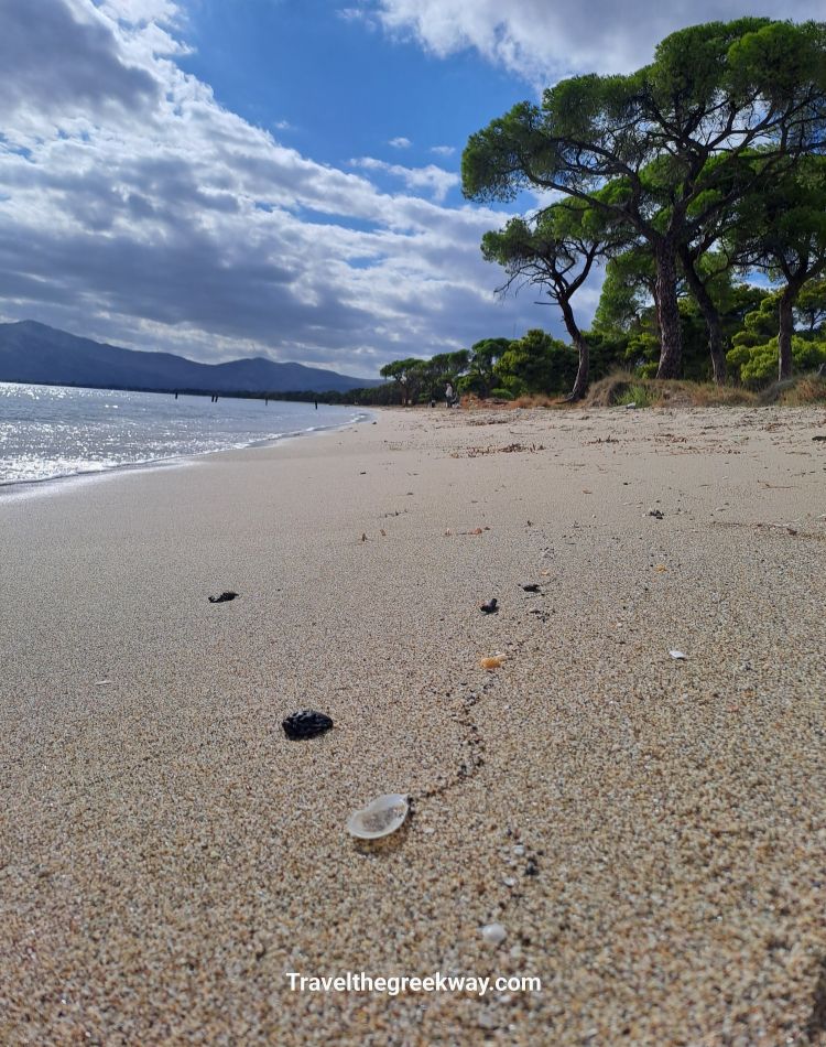 Close-up of sandy Schinias Beach in Marathon with seashells and waves in the distance.
