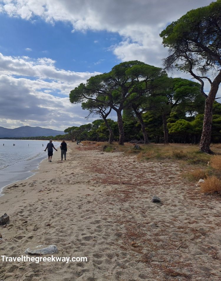 Couple walking along sandy Schinias Beach in Marathon, lined with pine trees and calm waters.