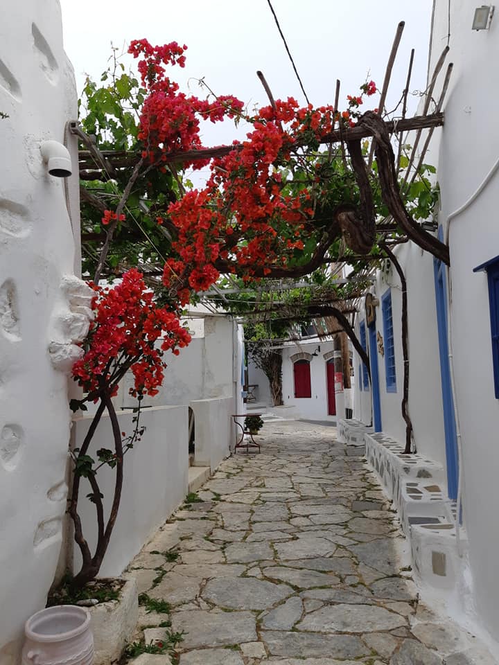 Amorgos with flowers