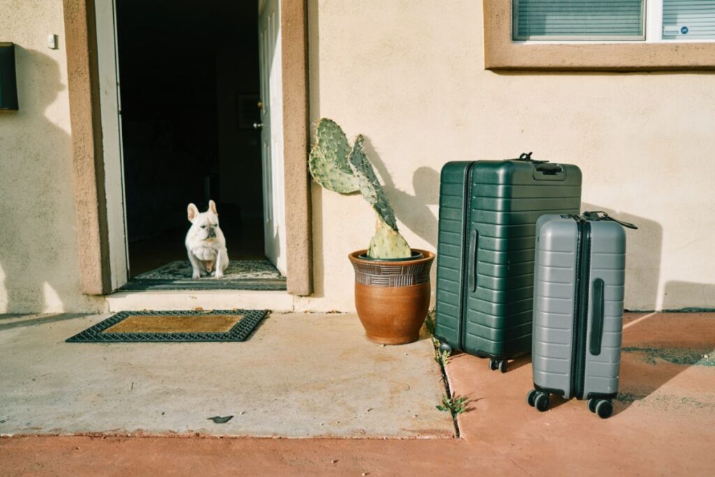 Luggage and a small dog