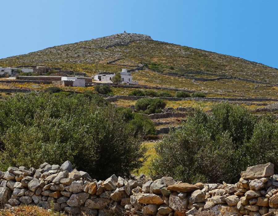 A scenic view of the rural landscape in Folegandros, Greece. The image showcases terraced hillsides with dry stone walls and scattered whitewashed houses. In the foreground, green shrubs and trees are visible. The hill is covered with sparse vegetation, leading up to a small, simple chapel or structure at its peak. The clear blue sky enhances the serene and pastoral atmosphere of the scene.