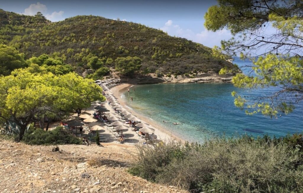 A sunny beach with many umbrellas and trees in a sunny day in Spetses Greece.