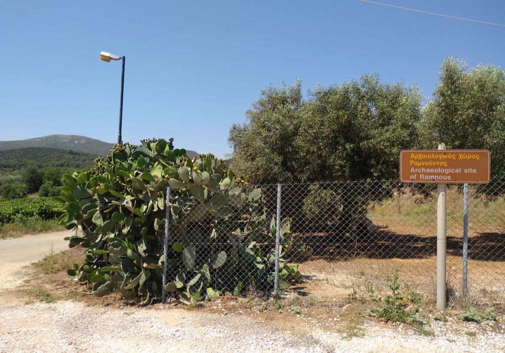 Some olive trees and a sign of the Ramnous Archaeological site view in Athens Greece.