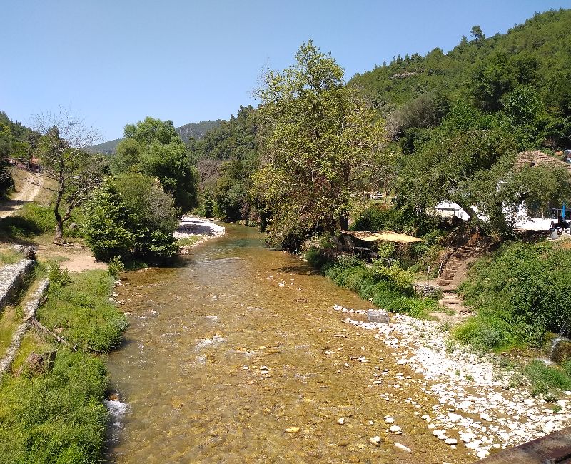 A view from the iron bridge with trees and plants in a sunny day in Nemouta Water falls in Ancient Olympia Greece.