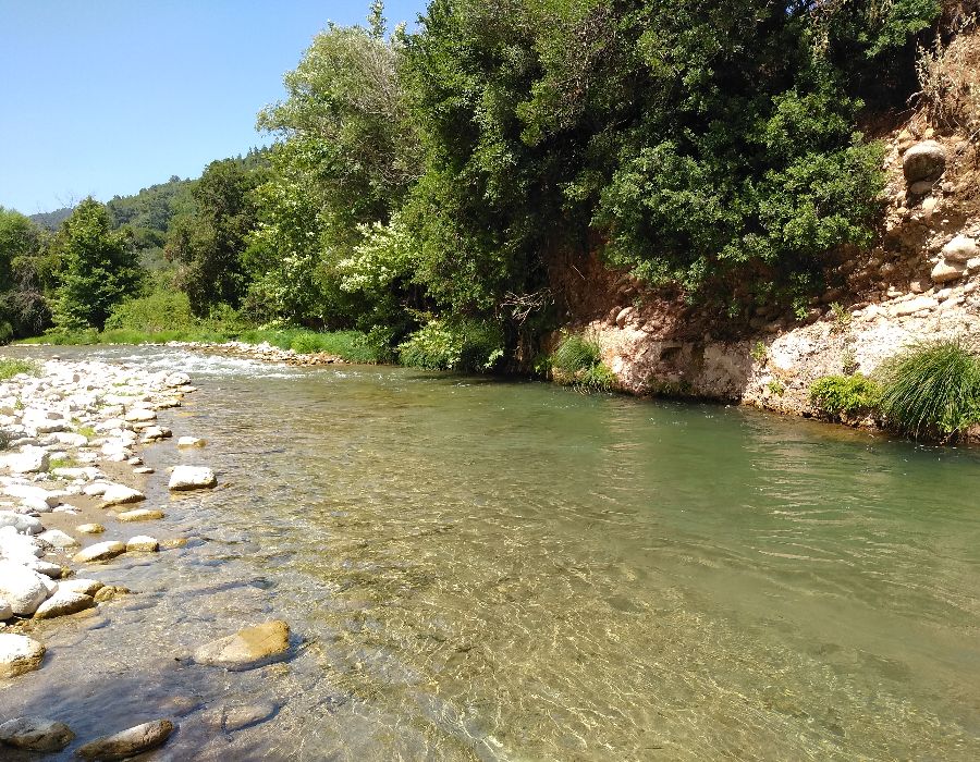 Erymanthos River and trees beside in Nemouta Water falls in Ancient Olympia Greece.