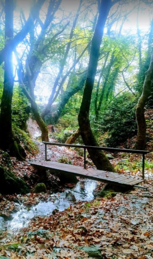 An old bridge and trees in autumn in Makrnitsa Pelion Greece.
