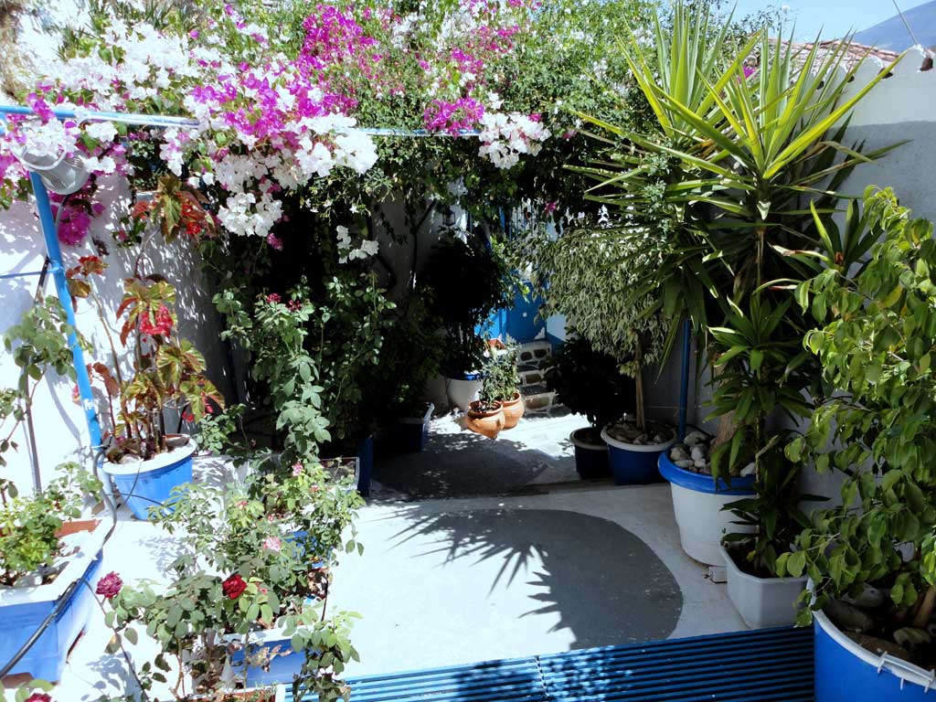 An alley with a lot of green of plants and flowers with whitewashed steps in Poros Island Greece.