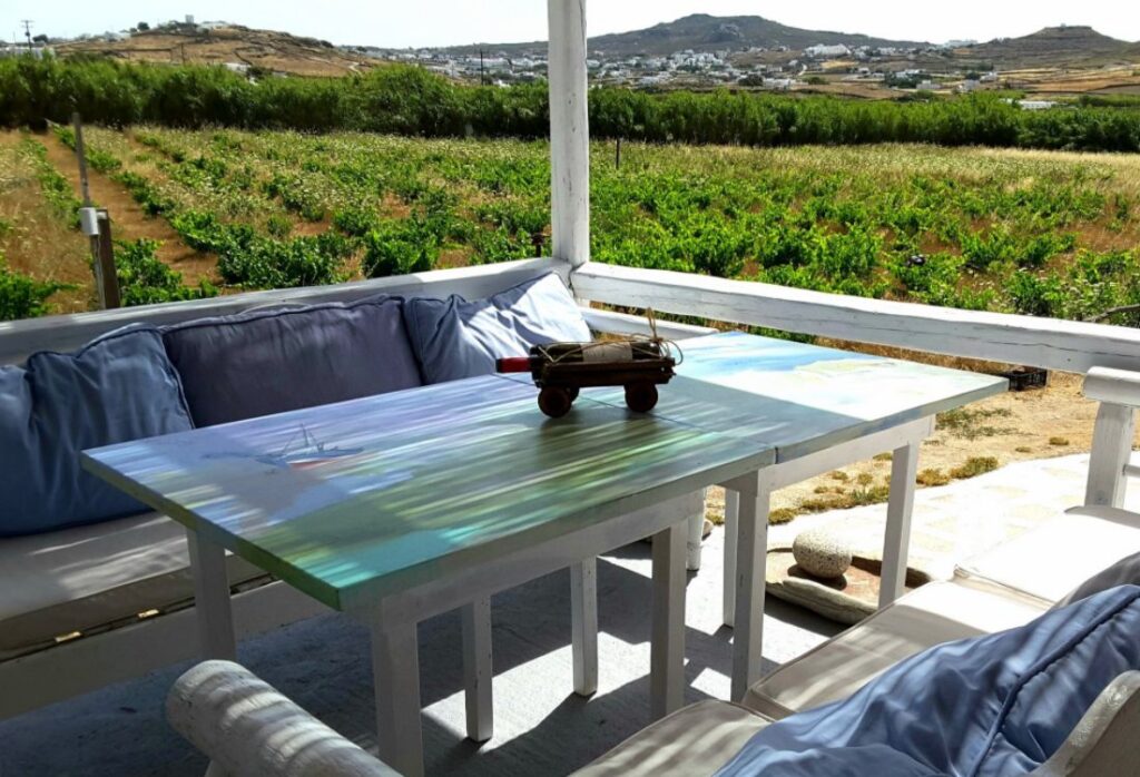 A table with a bottle of wine and two sofas surrounding with green. Vioma Organic Farm in Mykonos Island.  