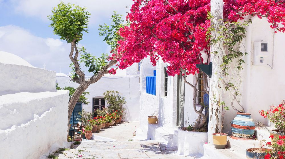 A whitewashed house with blue windows and flowers in a sunny day in Amorgos Island Greece.