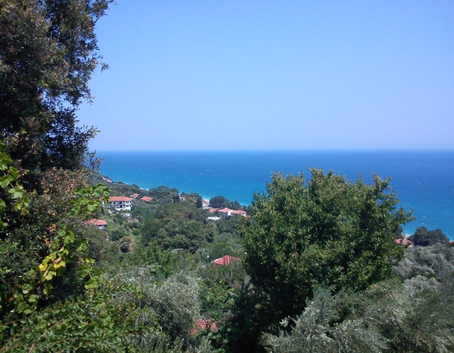 Sea View from Zagora towards Chorefto