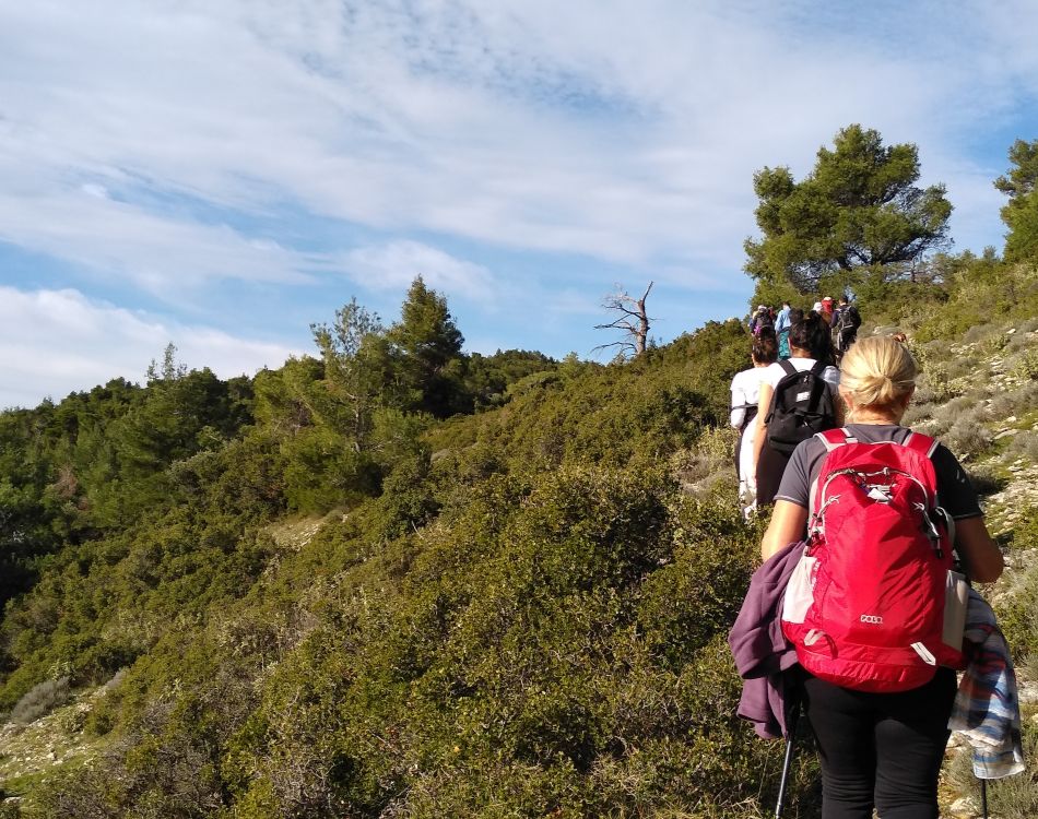 A group of hikers in summer clothes on a trail in Parnitha
