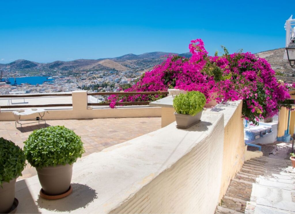 Best things to do in Syros, Syros flowers
