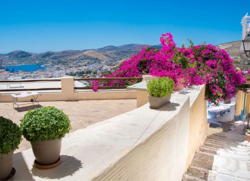 Pink Flowers and bougainvillea on a GReek island