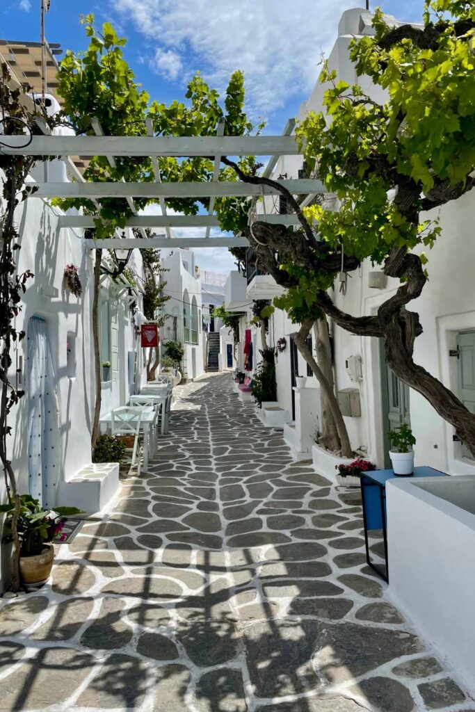 Charming cobblestone alleyway in Naousa, Paros, Greece, lined with whitewashed buildings and shaded by lush grapevines.