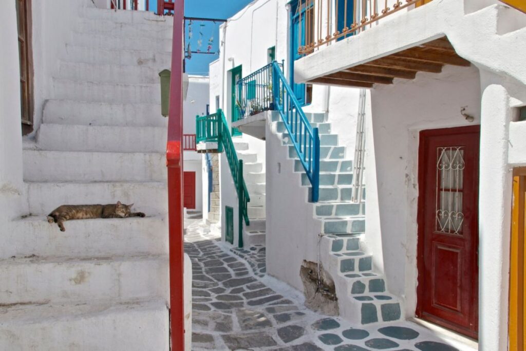 Mykonos Chora whitewashed houses and a sleeping cat