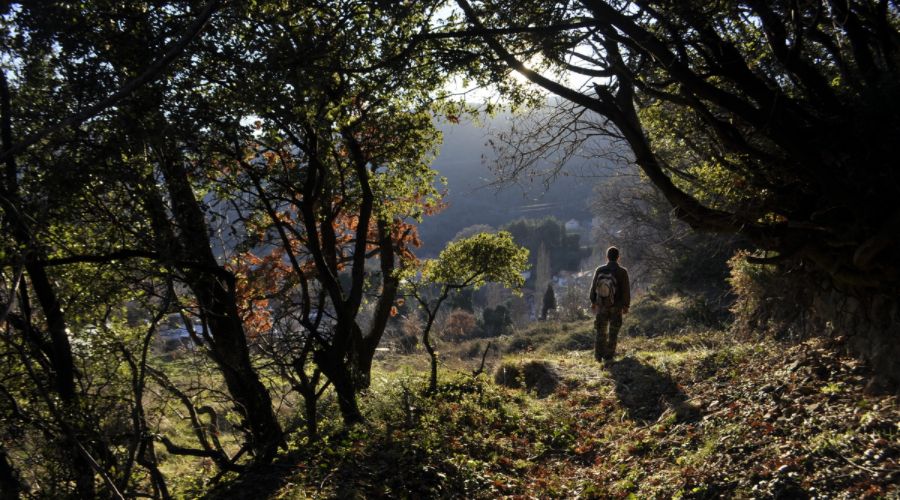 The trail to the Temple with a single hiker by Paths of Greece