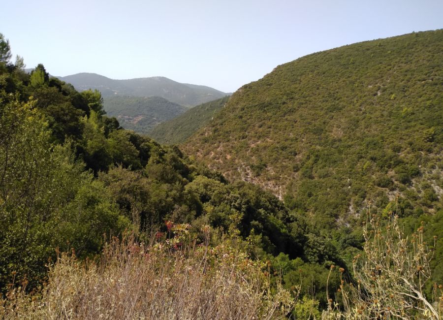 The mountain views while hiking