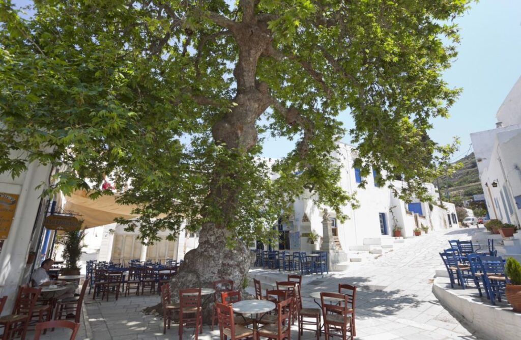 Hiking Cyclades Islands, Tinos island village main square with a tavern and a planetree