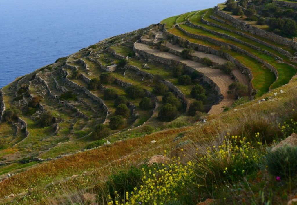 A green cliff beside the sea. 