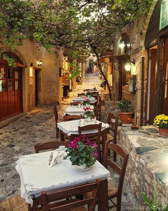A traditional Alley with tables and chairs and some plants in pots.