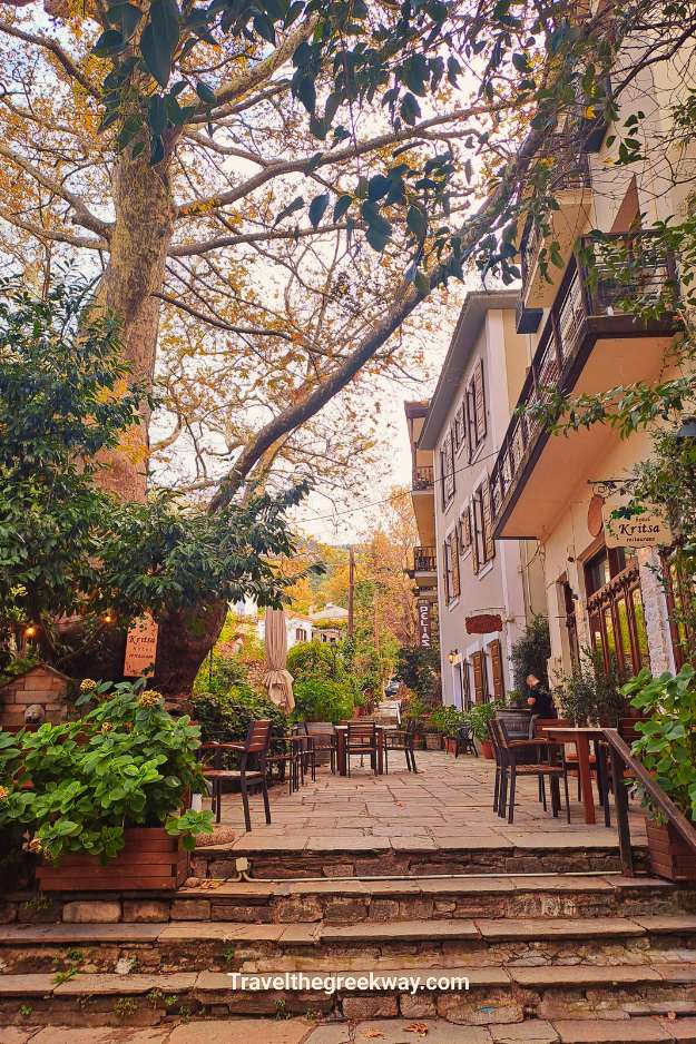 Stone steps and outdoor seating at Kritsa Hotel in Portaria, surrounded by lush greenery and autumn colors.