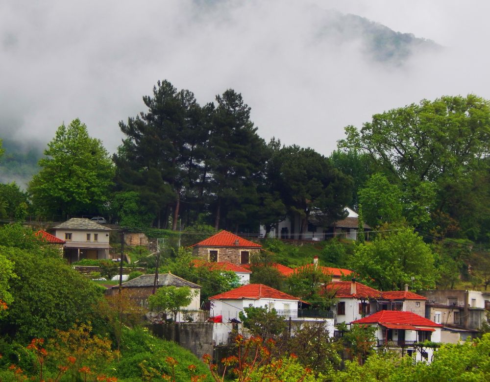 A small village with traditional roofs in trees Pelion Greece