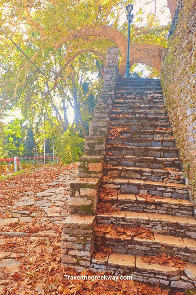 Stone steps under tall plane trees in Tsagarada leading to Agia Paraskevi Square.