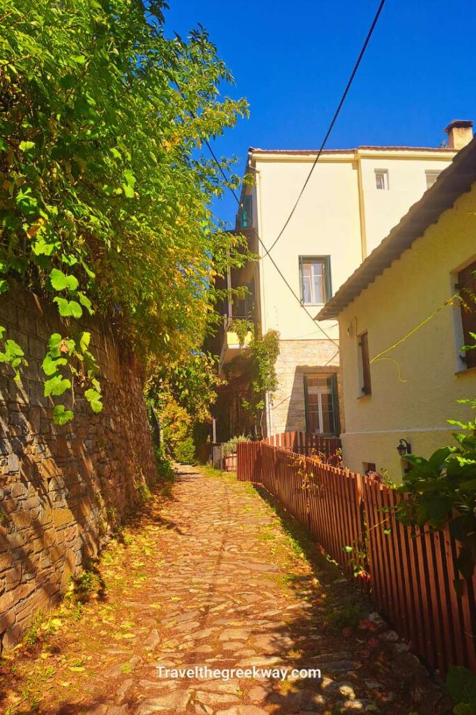 Charming cobblestone path in Agia Paraskevi, Tsagarada, with flowers and stone walls.