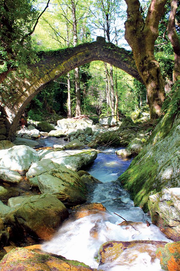 Old bridge over a stream inside a forest in tsagarada Pelion Greece. 