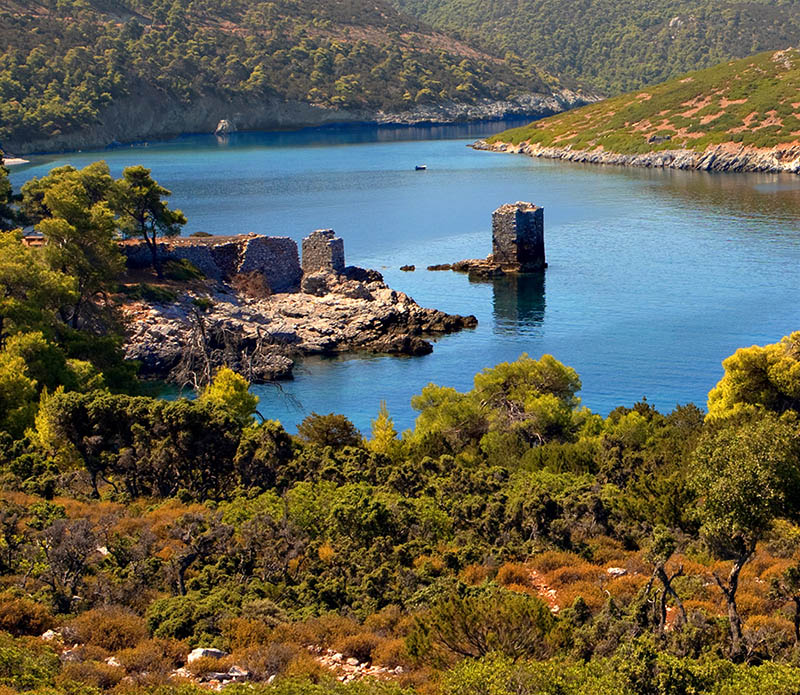 A beach called Atsitsa in Skyros with trees and a lot of bushes. 