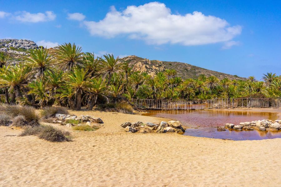 Crete in winter. The Vai Palm Forest in Lasithi. 