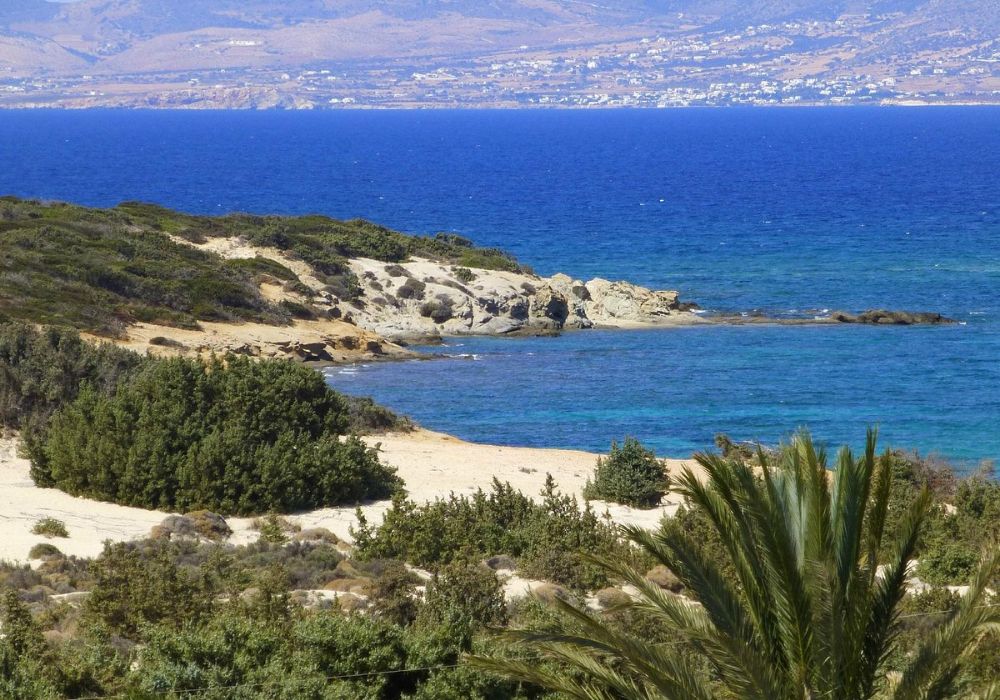 Alyko cedar forest in Naxos Greece