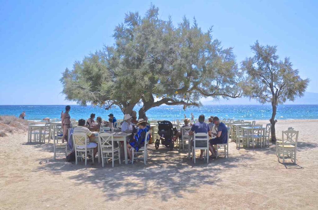 The Paradise tavern with trees on the Agia ANna beach  in Naxos Greece