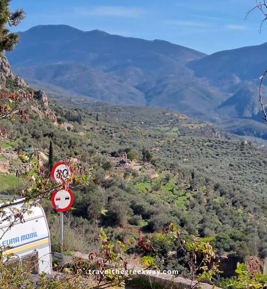 View of the Delphi archaeological site and the vast olive-tree valley below.