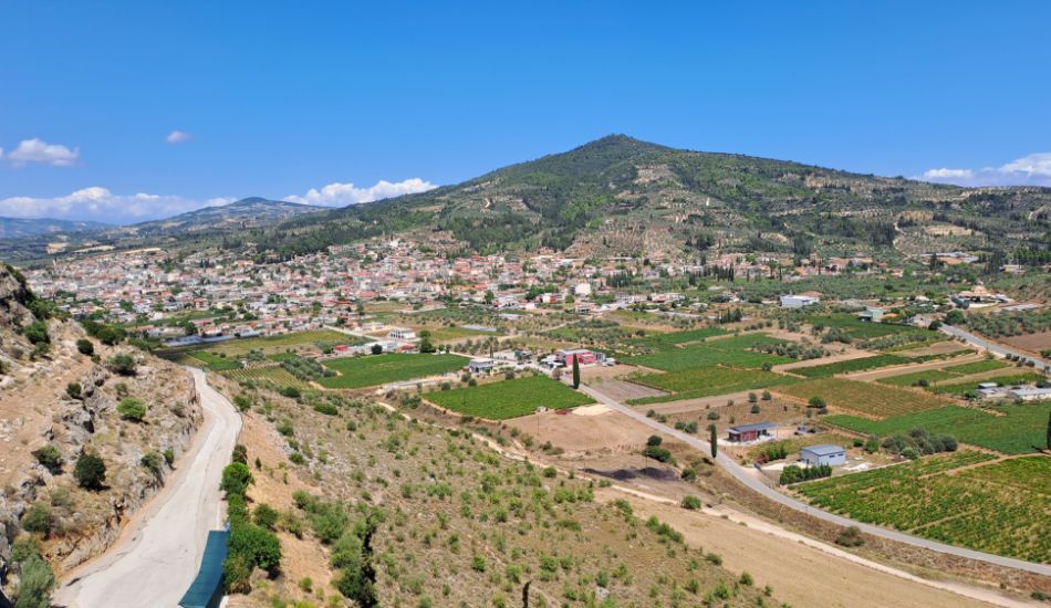 wine tasting in Greece, Nemea from the hill