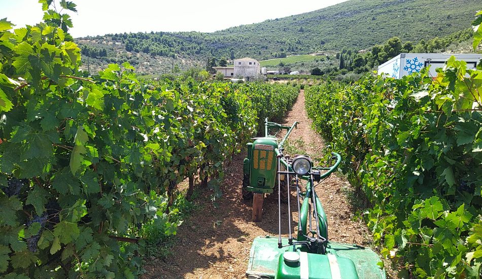 Wine tasting in Greece, Palivos vineyard with an old looking agricultural machine.