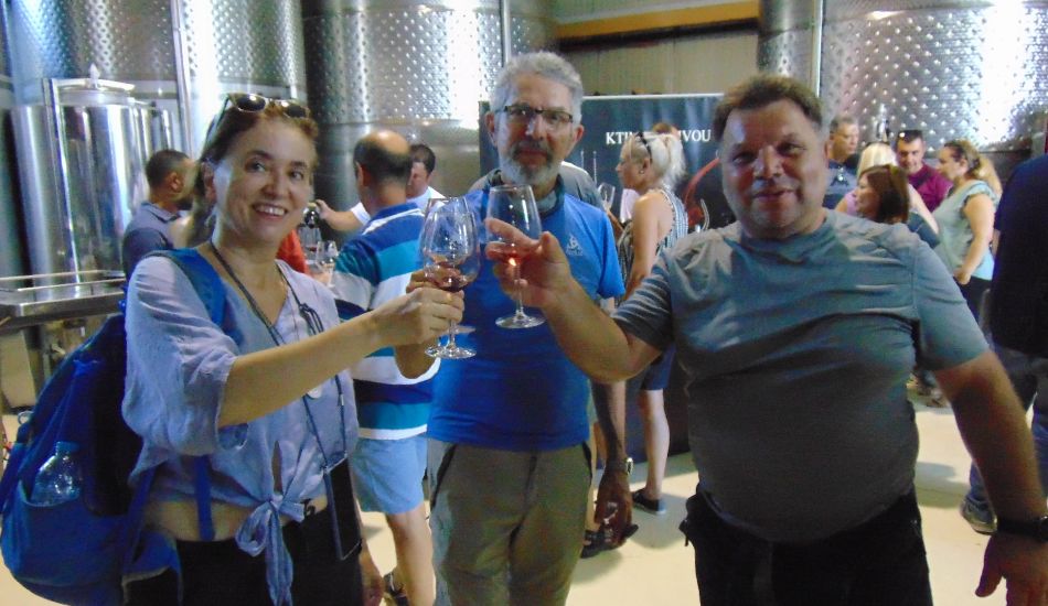 Group enjoying a wine tasting event in Greece, raising glasses in a lively atmosphere.