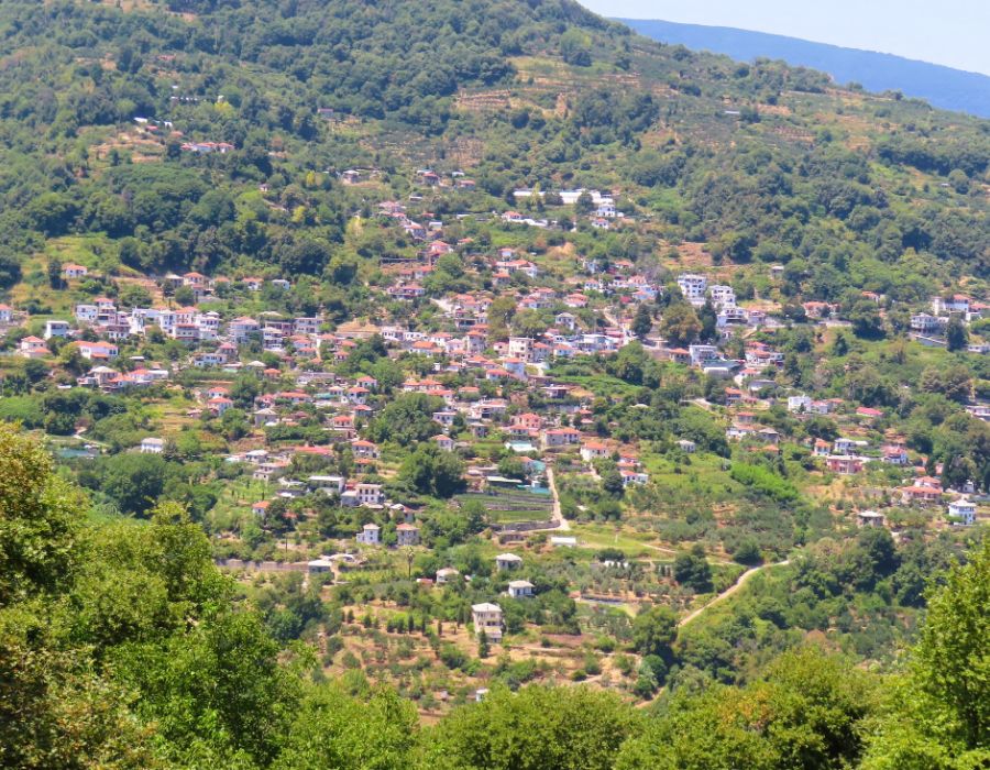 View of Anilio village in Pelion, Greece, with houses scattered across a lush green hillside.