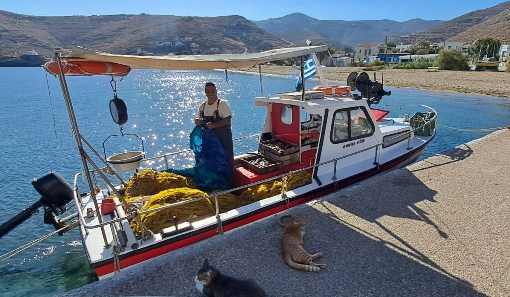 Fisherman in Korrisia, Kea's port, and his feline assistants